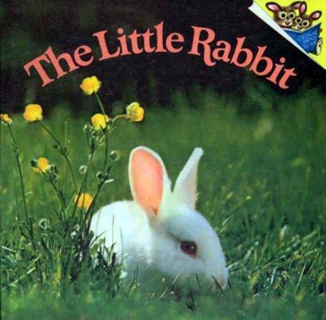 The Little Rabbit
