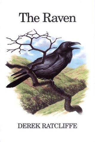 The Raven: A Natural History in Britain and Ireland (Poyser)