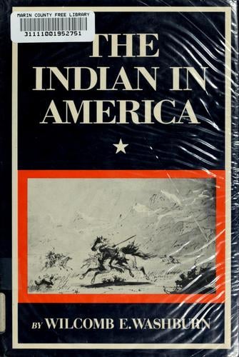 The  Indian in America