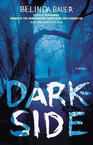 Darkside : a novel