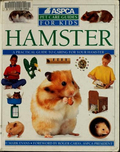 Hamster