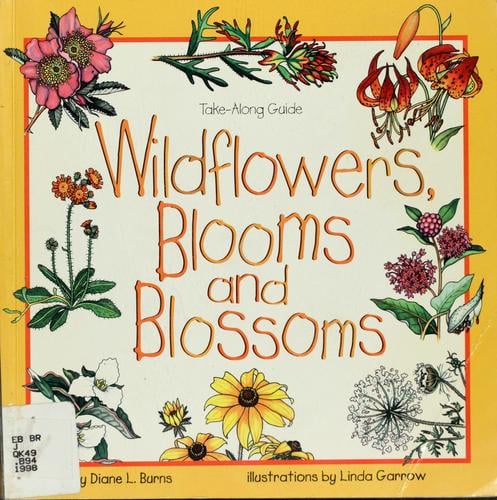 Wildflowers, blooms and blossoms