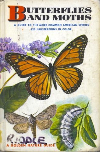 Butterflies and Moths: a guide to the more common American species.  423 illustrations in color.