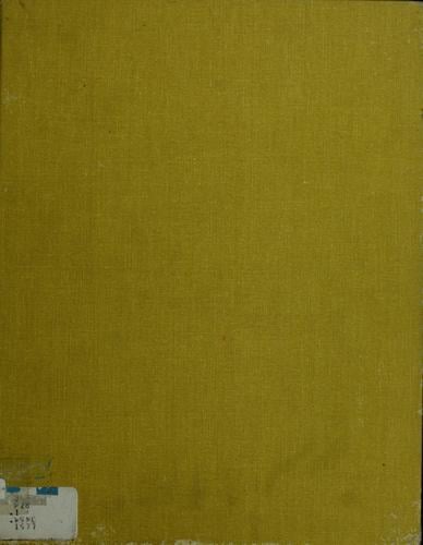 Monkey and the three wizards