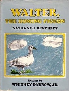 Walter, the Homing Pigeon