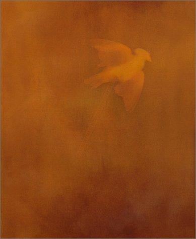 Adam Fuss