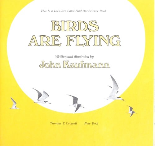Birds are flying