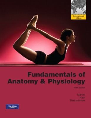 Fundamentals Of Anatomy Physiology