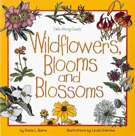 Wildflowers, blooms, and blossoms