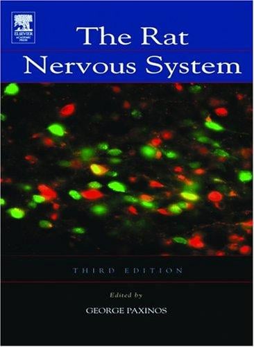 The rat nervous system