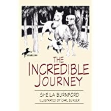Incredible Journey
