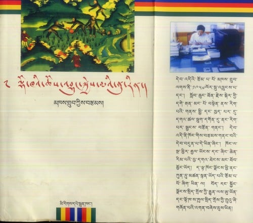 Lho-khaʾi chos ʾbyuṅ skyes maʾi nu rin