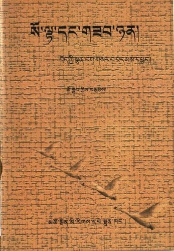 so lta dang gzab nyan: bod kyi snyan ngag gsar ba bdams dpyad