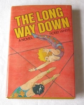 The long way down: a novel