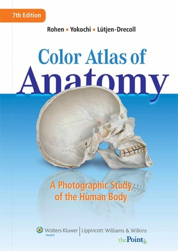 Color atlas of anatomy: a photographic study of the human body