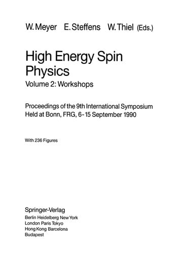 High Energy Spin Physics: Volume 2: Workshops