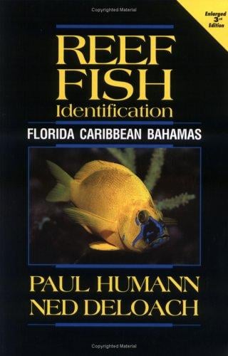 Reef Fish Identification: Florida, Caribbean, Bahamas