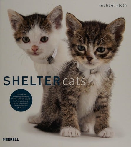 Shelter cats