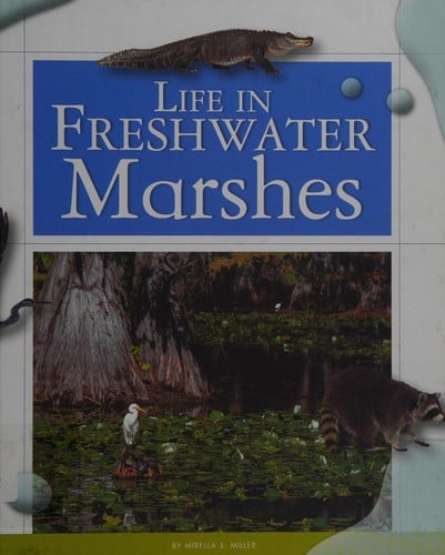 Life in freshwater marshes
