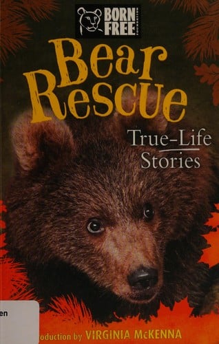 Bear rescue: true-life stories
