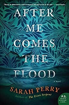After me comes the flood : a novel