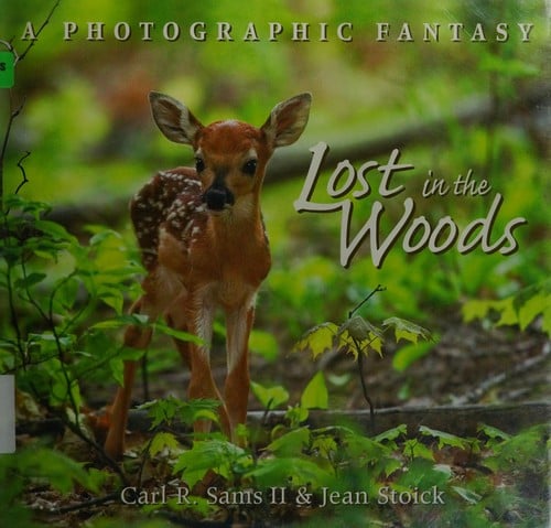 Lost in the woods: a photographic fantasy