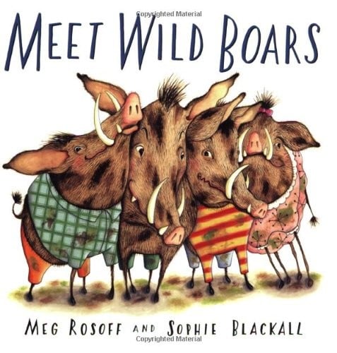 Meet Wild Boars