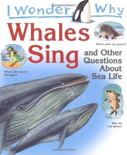 I Wonder Why Whales Sing: And Other Questions About Sea Life