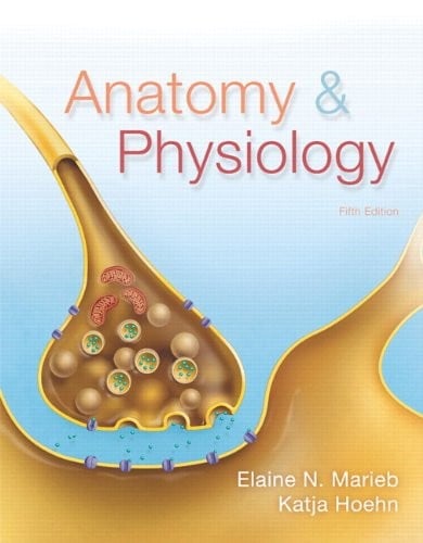 Anatomy & Physiology