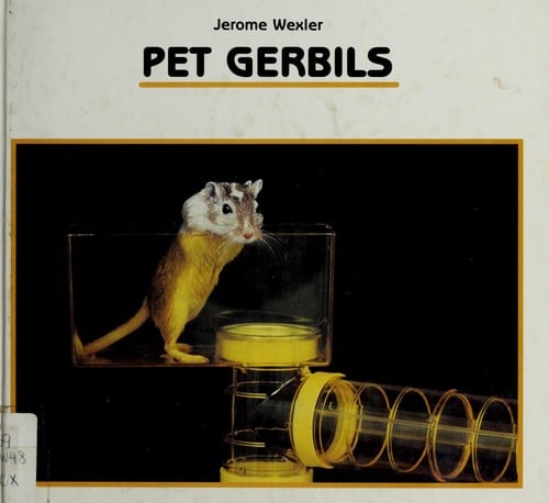 Pet gerbils