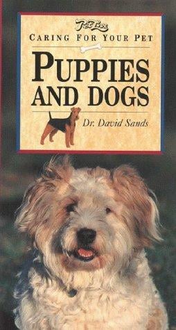 Caring for Your Pet Puppy and Dog