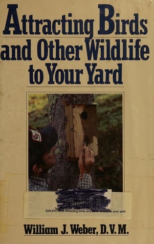 Attracting birds and other wildlife to your yard