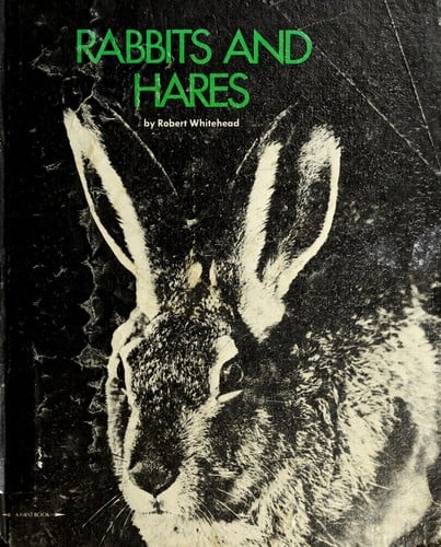 Rabbits and hares
