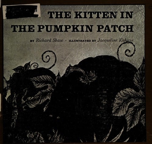 The kitten in the pumpkin patch.