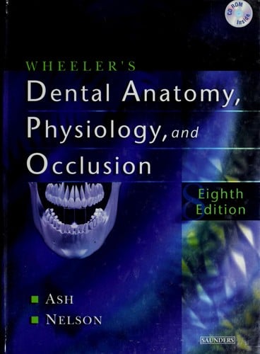 Dental anatomy, physiology, and occlusion