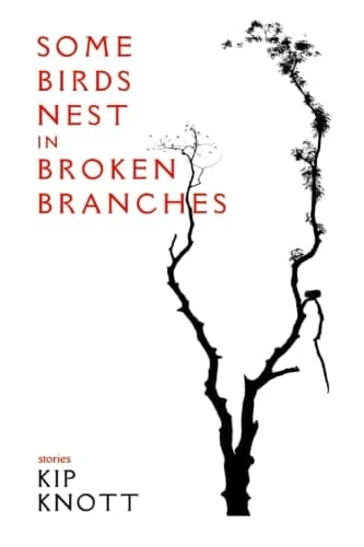Some Birds Nest in Broken Branches