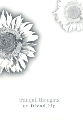 On Friendship Journal