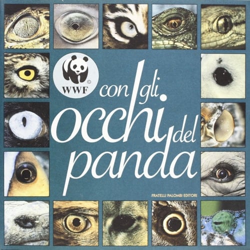Con gli occhi del panda