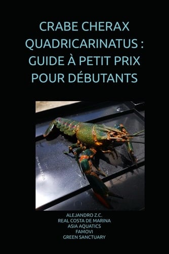 CRABE CHERAX QUADRICARINATUS : GUIDE À PETIT PRIX POUR DÉBUTANTS (French Edition)