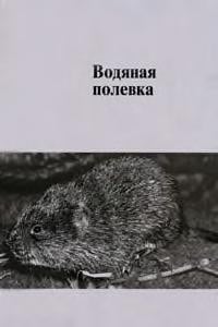 Vodianaia polevka: obraz vida