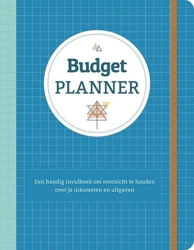 Budgetplanner (blauw): Een handig invulboek om overzicht te houden over je inkomsten en uitgaven