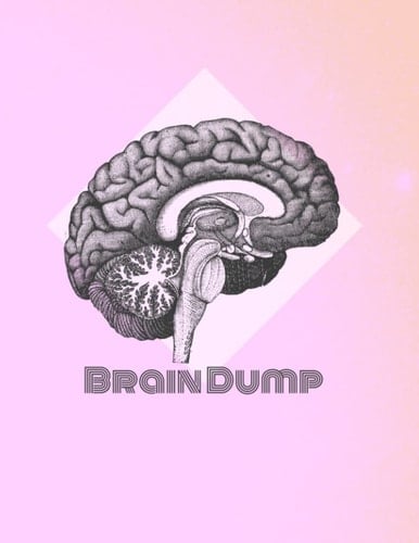 Brain Dump Pink Notebook: Large Pink 80 Page Notebook Journal