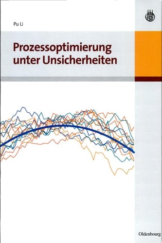 Prozessoptimierung unter Unsicherheiten