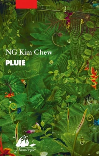 Pluie : roman
