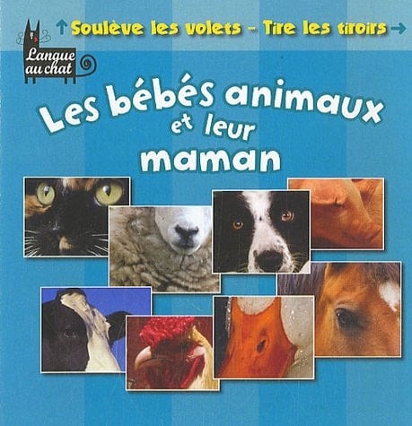 Les bébé animaux et leur maman