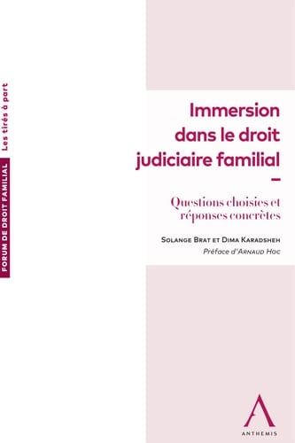 Immersion dans le droit judiciaire familial Questions choisies et réponses concrètes