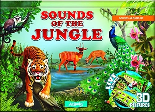 Sounds of the Jungle