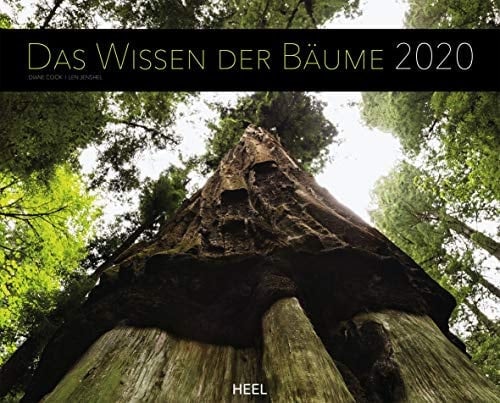 Das Wissen der Bäume 2020 Inspierierende Baumriesen mit Geschichte