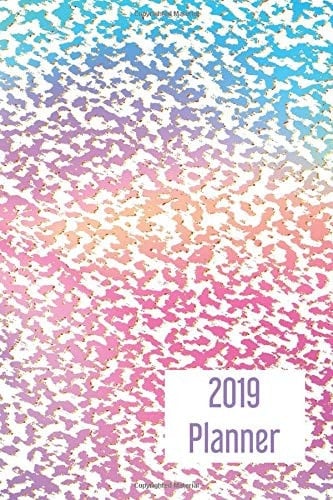2019 Planner 365 Page Agenda : Daily 2019 Planner : Trendy Rainbow Cover
