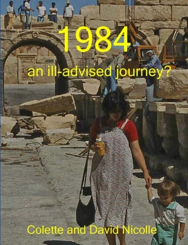 1984, an ill-advised journey?
